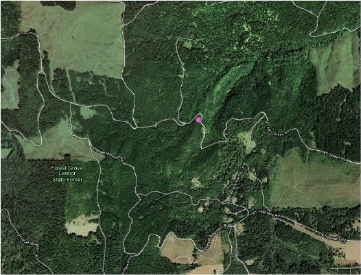Portland satellite map